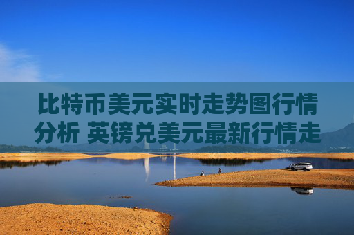 比特币美元实时走势图行情分析 英镑兑美元最新行情走势图