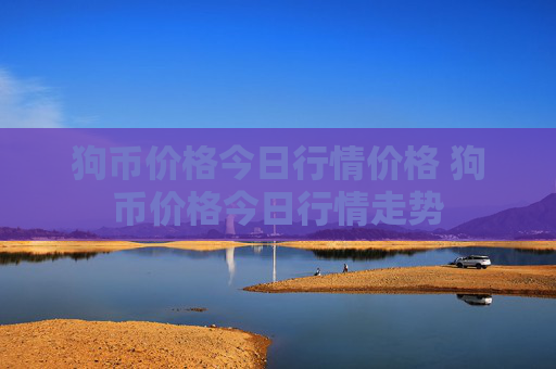 狗币价格今日行情价格 狗币价格今日行情走势