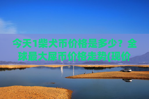 今天1柴犬币价格是多少？全球最大屎币价格走势(现价0.00016194元)