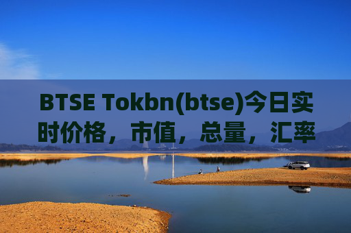 BTSE Tokbn(btse)今日实时价格，市值，总量，汇率
