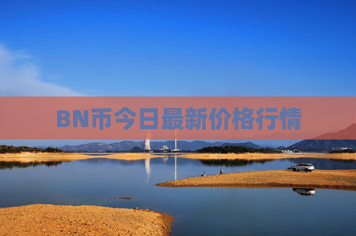 BN币今日最新价格行情