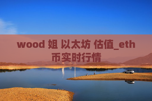 wood 姐 以太坊 估值_eth币实时行情