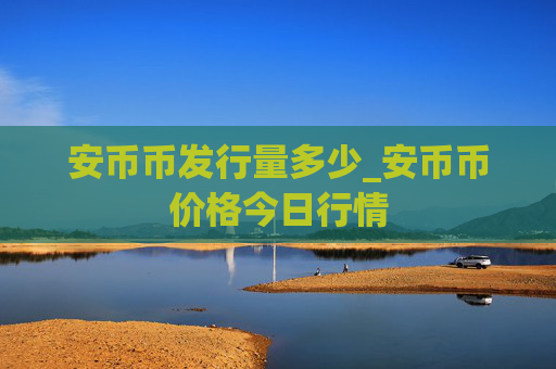 安币币发行量多少_安币币价格今日行情