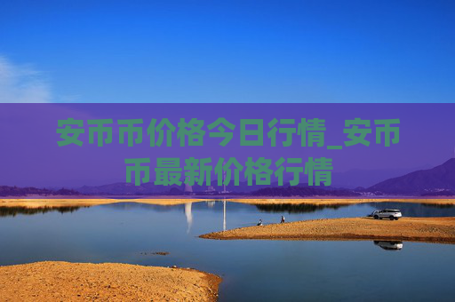 安币币价格今日行情_安币币最新价格行情