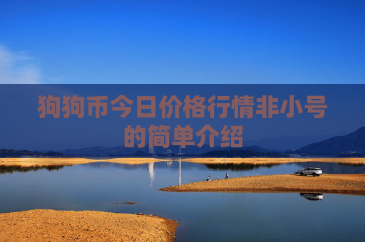 狗狗币今日价格行情非小号的简单介绍