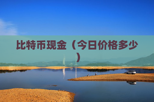 比特币现金(今日价格多少)