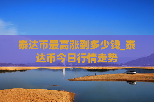 泰达币最高涨到多少钱_泰达币今日行情走势