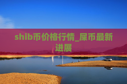 shib币价格行情_屎币最新进展