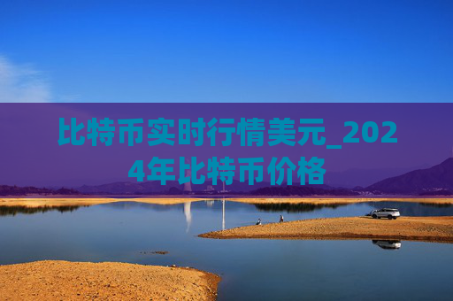 比特币实时行情美元_2024年比特币价格