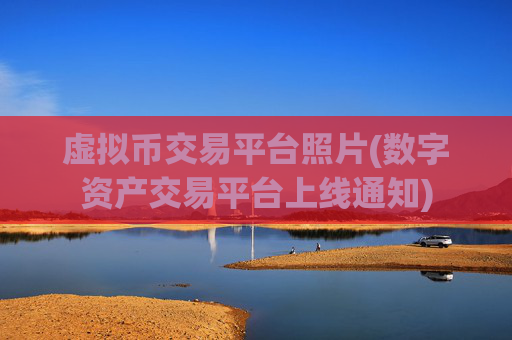 虚拟币交易平台照片(数字资产交易平台上线通知)