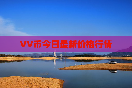 VV币今日最新价格行情