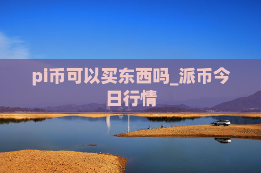 pi币可以买东西吗_派币今日行情