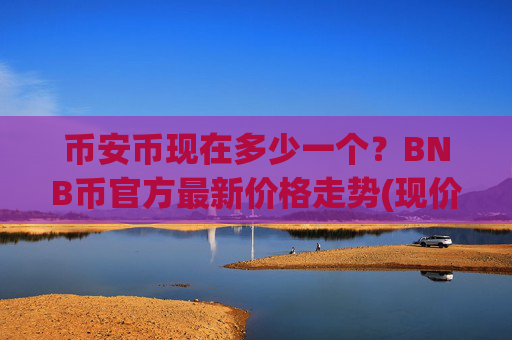 币安币现在多少一个？BNB币官方最新价格走势(现价4865.29元)
