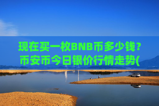 现在买一枚BNB币多少钱？币安币今日银价行情走势(现价4831.01元)