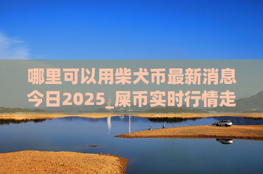 哪里可以用柴犬币最新消息今日2025_屎币实时行情走势