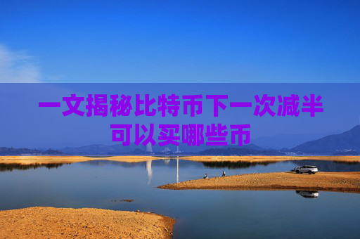 一文揭秘比特币下一次减半可以买哪些币