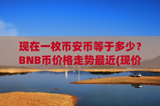 现在一枚币安币等于多少？BNB币价格走势最近(现价4969.98元)
