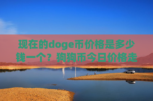 现在的doge币价格是多少钱一个？狗狗币今日价格走向图(现价2.4653元)