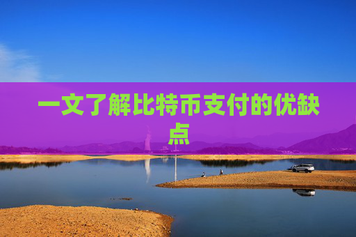 一文了解比特币支付的优缺点