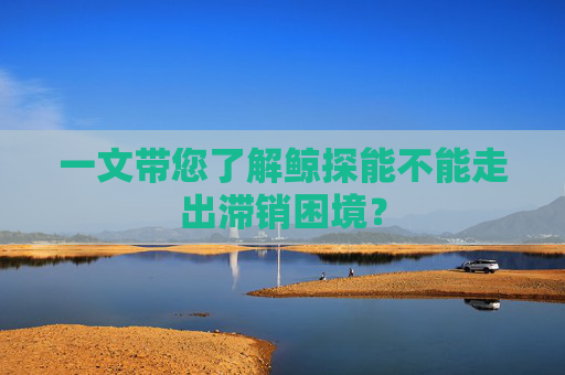 一文带您了解鲸探能不能走出滞销困境?