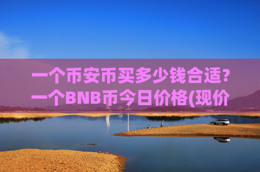 一个币安币买多少钱合适？一个BNB币今日价格(现价4970.7元)