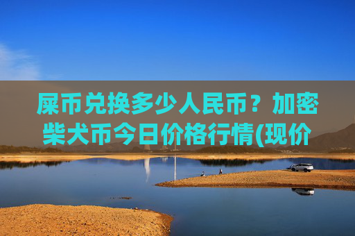 屎币兑换多少人民币？加密柴犬币今日价格行情(现价0.00016906元)