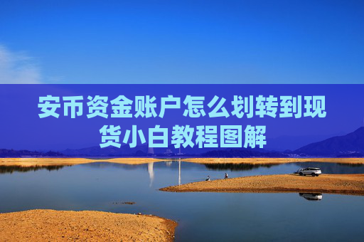 安币资金账户怎么划转到现货小白教程图解