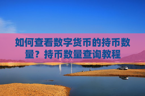 如何查看数字货币的持币数量?持币数量查询教程