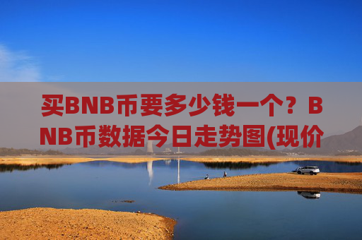 买BNB币要多少钱一个？BNB币数据今日走势图(现价4907.89元)