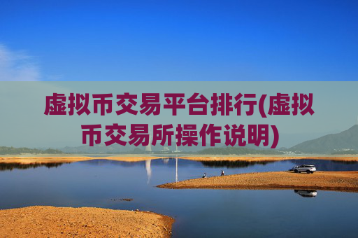 虚拟币交易平台排行(虚拟币交易所操作说明)
