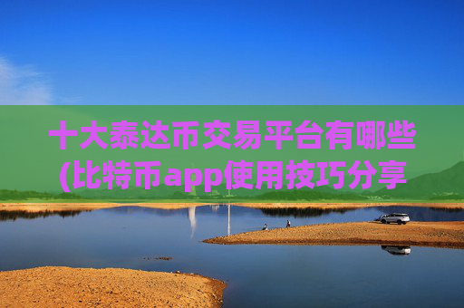 十大泰达币交易平台有哪些(比特币app使用技巧分享)