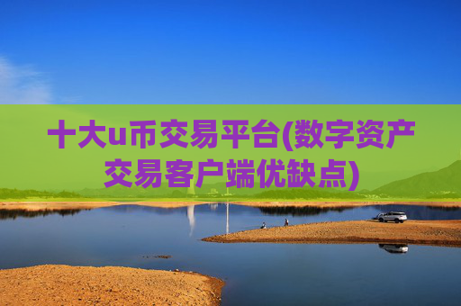 十大u币交易平台(数字资产交易客户端优缺点)