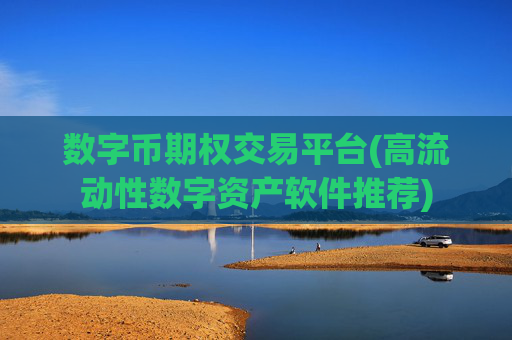 数字币期权交易平台(高流动性数字资产软件推荐)