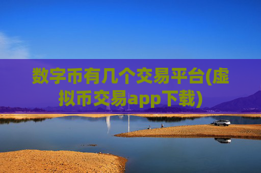 数字币有几个交易平台(虚拟币交易app下载)