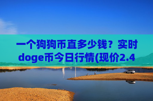 一个狗狗币直多少钱？实时doge币今日行情(现价2.4703元)