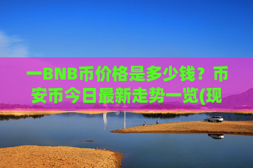 一BNB币价格是多少钱？币安币今日最新走势一览(现价4964.2元)