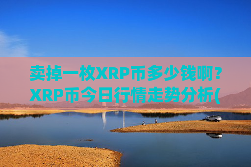 卖掉一枚XRP币多少钱啊？XRP币今日行情走势分析(现价17.0011元)