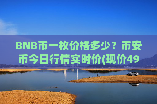 BNB币一枚价格多少？币安币今日行情实时价(现价4983.09元)
