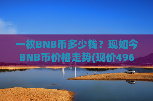 一枚BNB币多少钱？现如今BNB币价格走势(现价4963.04元)