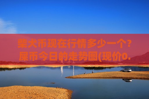 柴犬币现在行情多少一个？屎币今日的走势图(现价0.00016939元)