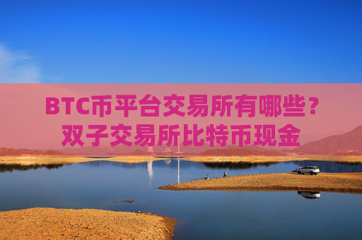 BTC币平台交易所有哪些？双子交易所比特币现金