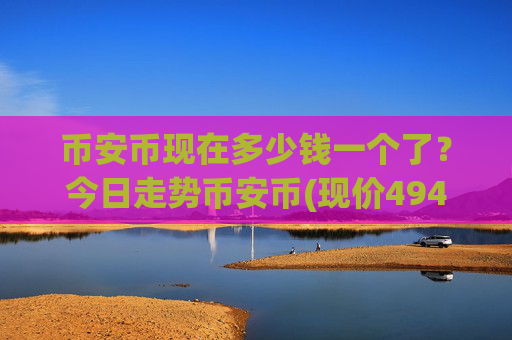 币安币现在多少钱一个了？今日走势币安币(现价4943.78元)