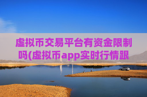 虚拟币交易平台有资金限制吗(虚拟币app实时行情跟踪)