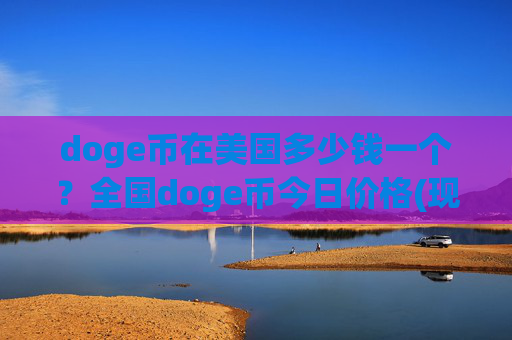 doge币在美国多少钱一个？全国doge币今日价格(现价2.4566元)