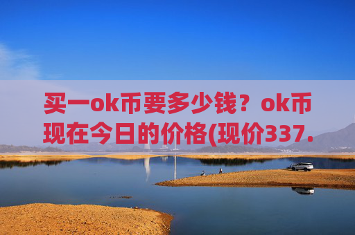 买一ok币要多少钱？ok币现在今日的价格(现价337.01元)