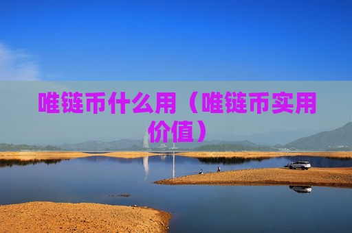 唯链币什么用（唯链币实用价值）