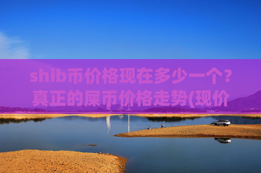 shib币价格现在多少一个？真正的屎币价格走势(现价0.00016916元)