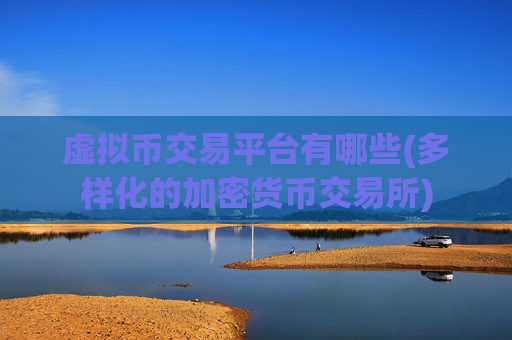 虚拟币交易平台有哪些(多样化的加密货币交易所)