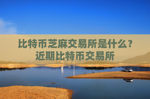 比特币芝麻交易所是什么?近期比特币交易所