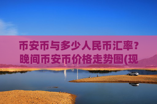 币安币与多少人民币汇率？晚间币安币价格走势图(现价4973.39元)